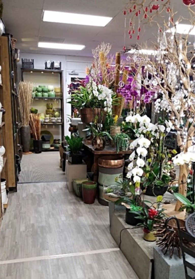 A store filled with lots of potted plants and flowers