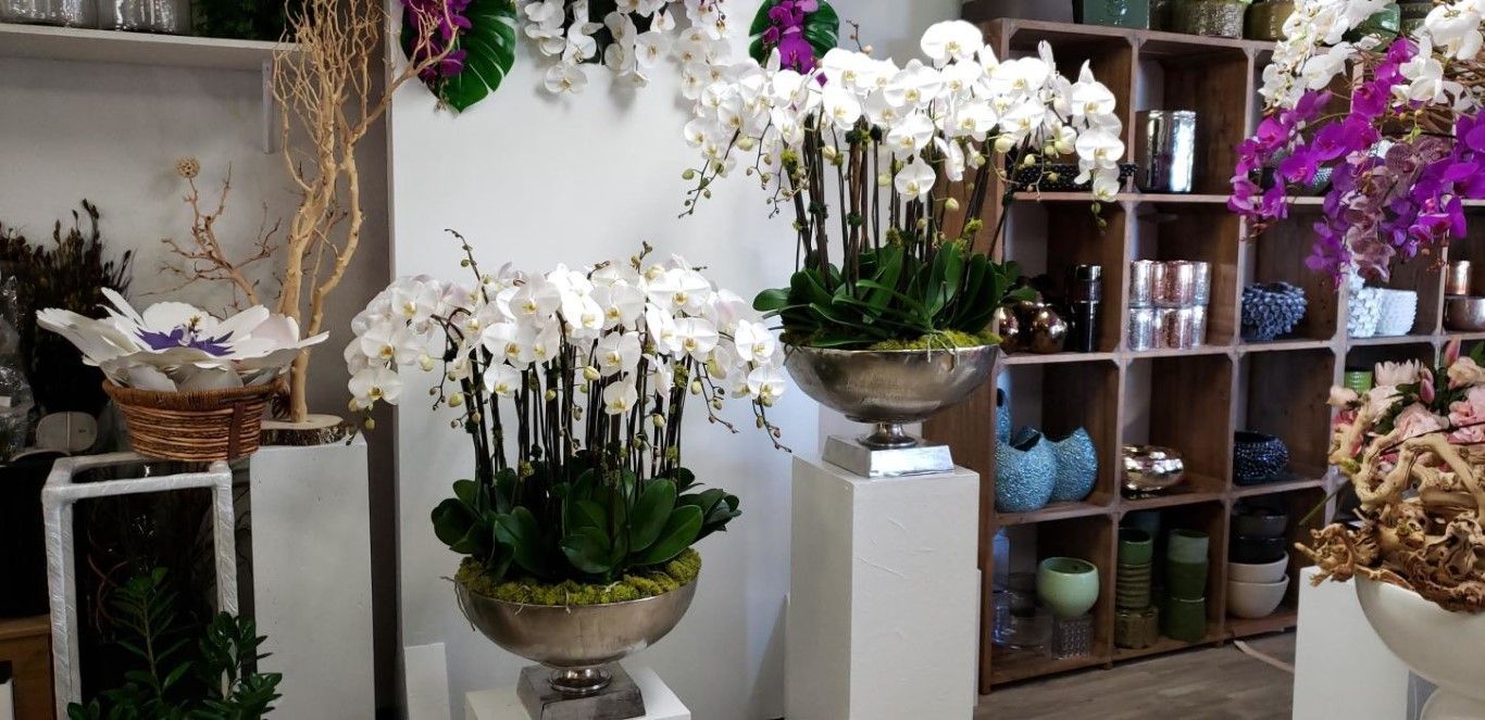 A room filled with lots of vases filled with flowers.