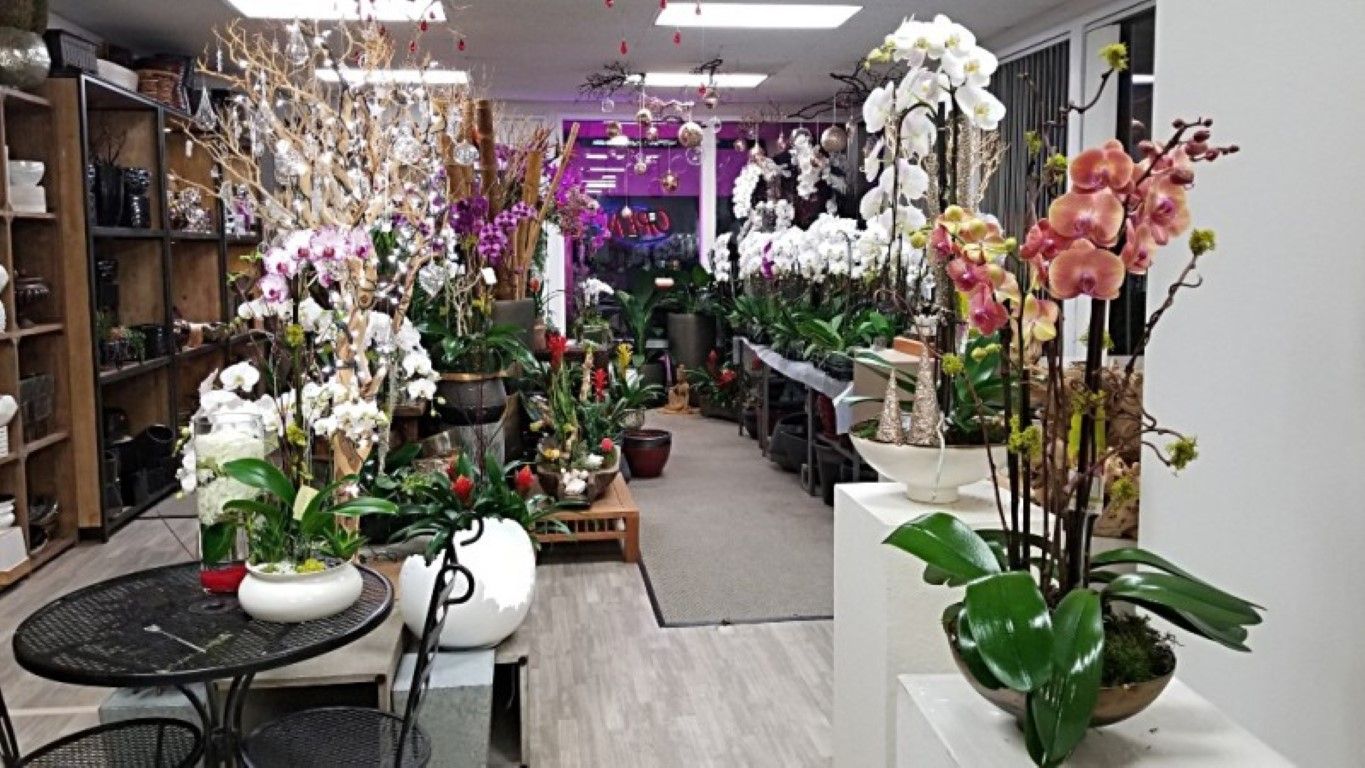 A large room filled with lots of flowers and potted plants.