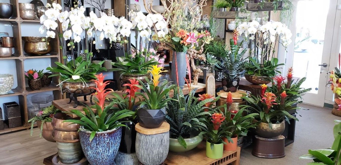 A room filled with lots of potted plants and flowers.