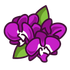 orchid icon