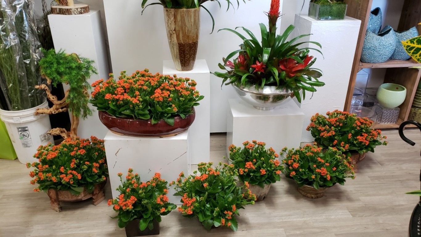 A room filled with lots of potted plants and flowers.