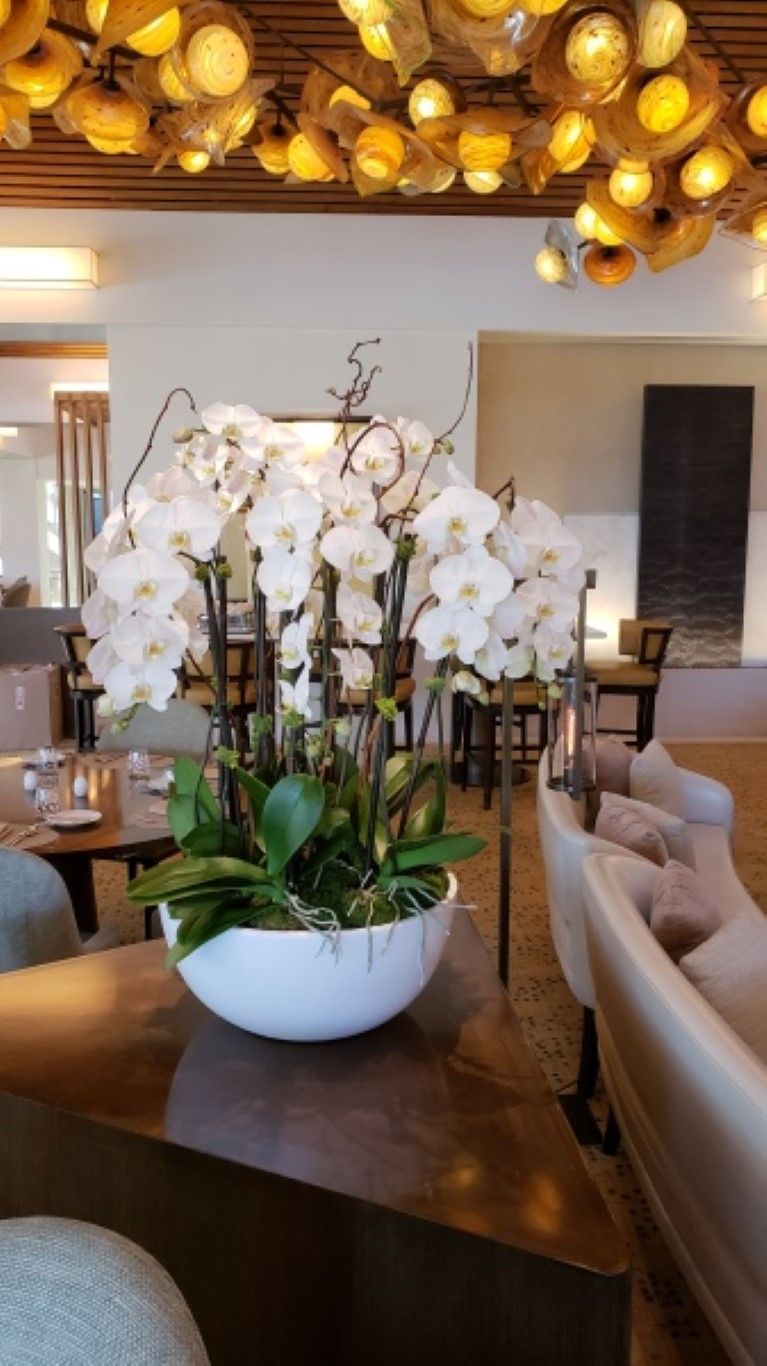 A bowl of white flowers is sitting on a table in a living room.