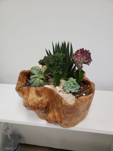 A wooden bowl filled with plants is sitting on a table.