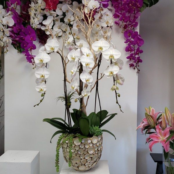 A potted plant with white flowers and purple flowers behind it