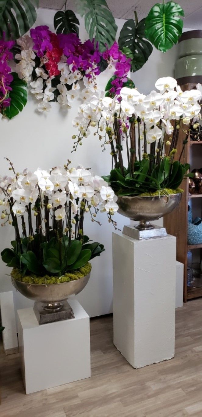 Two vases filled with white orchids are sitting on white pedestals in a room.