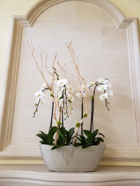 A vase filled with white orchids is sitting on a mantle.