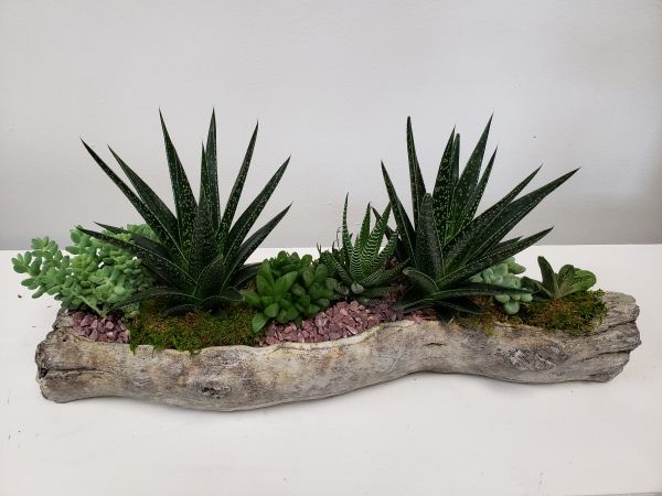 A wooden planter filled with plants and rocks on a table.