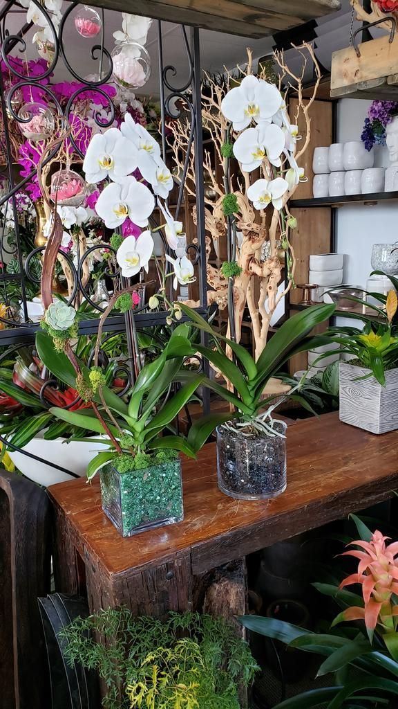 There are many different types of flowers on the table.