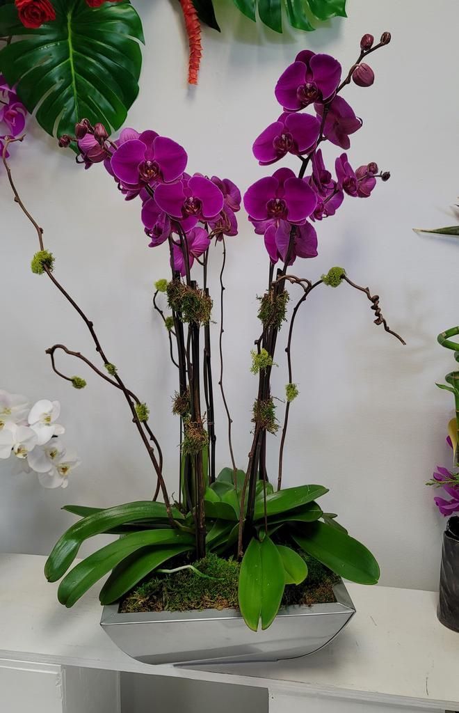 A potted plant with purple flowers and green leaves is sitting on a table.