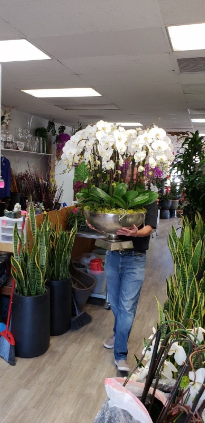 A man is carrying a large vase of flowers in a flower shop.