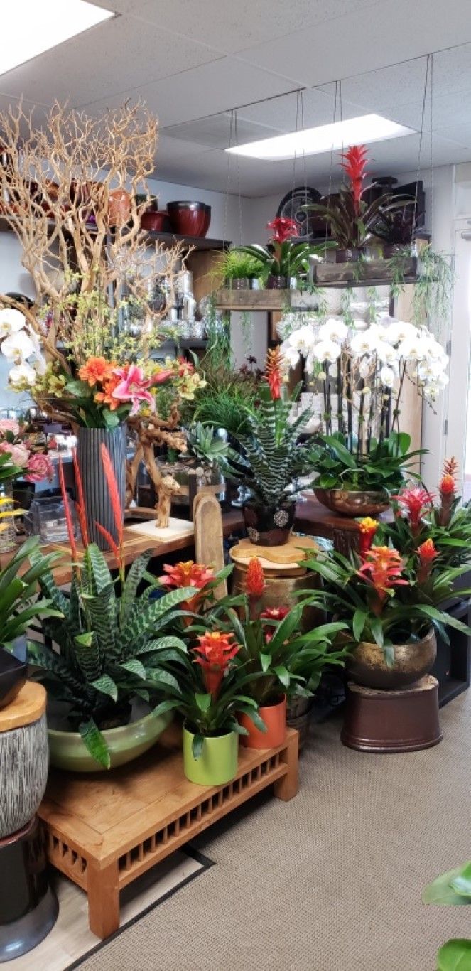 A room filled with lots of potted plants and flowers.