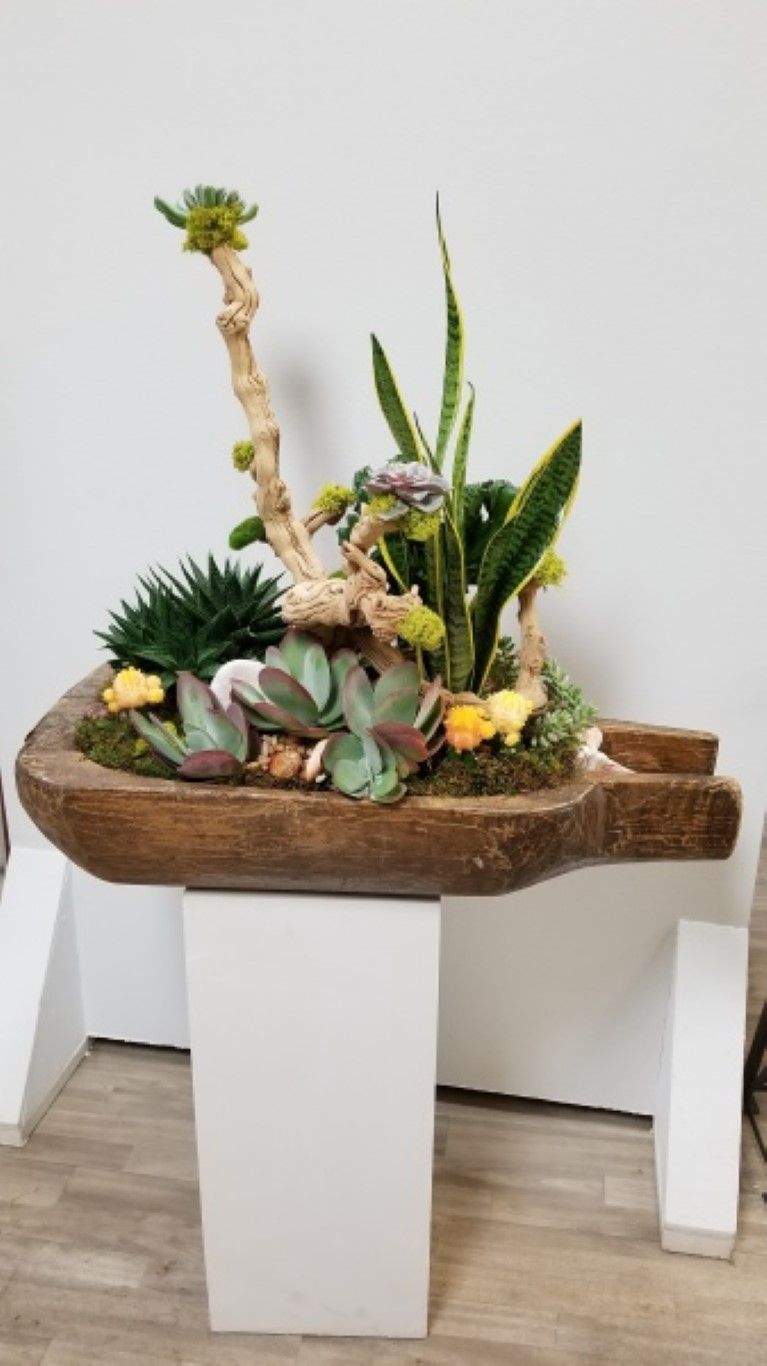 A wooden bowl filled with plants is sitting on top of a white pedestal.