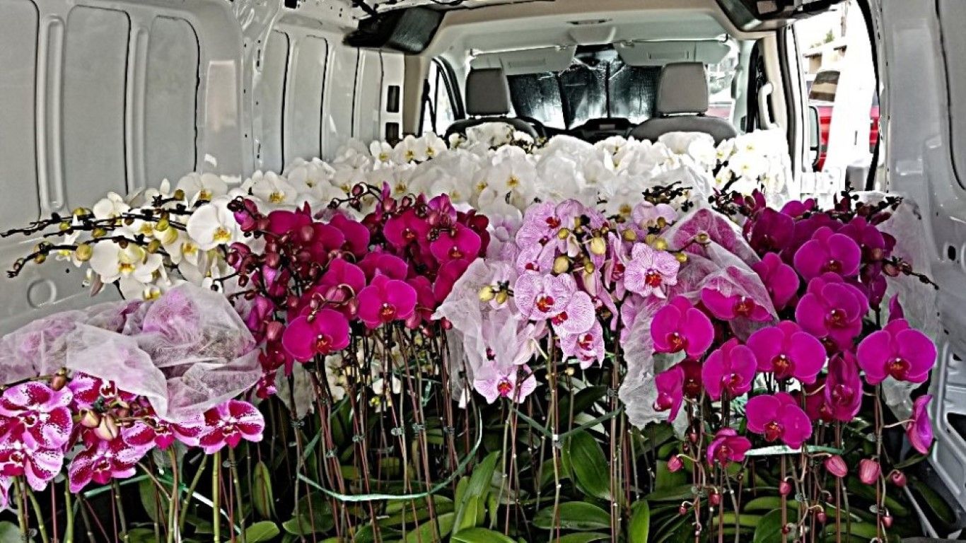 A bunch of flowers are sitting in the back of a van.