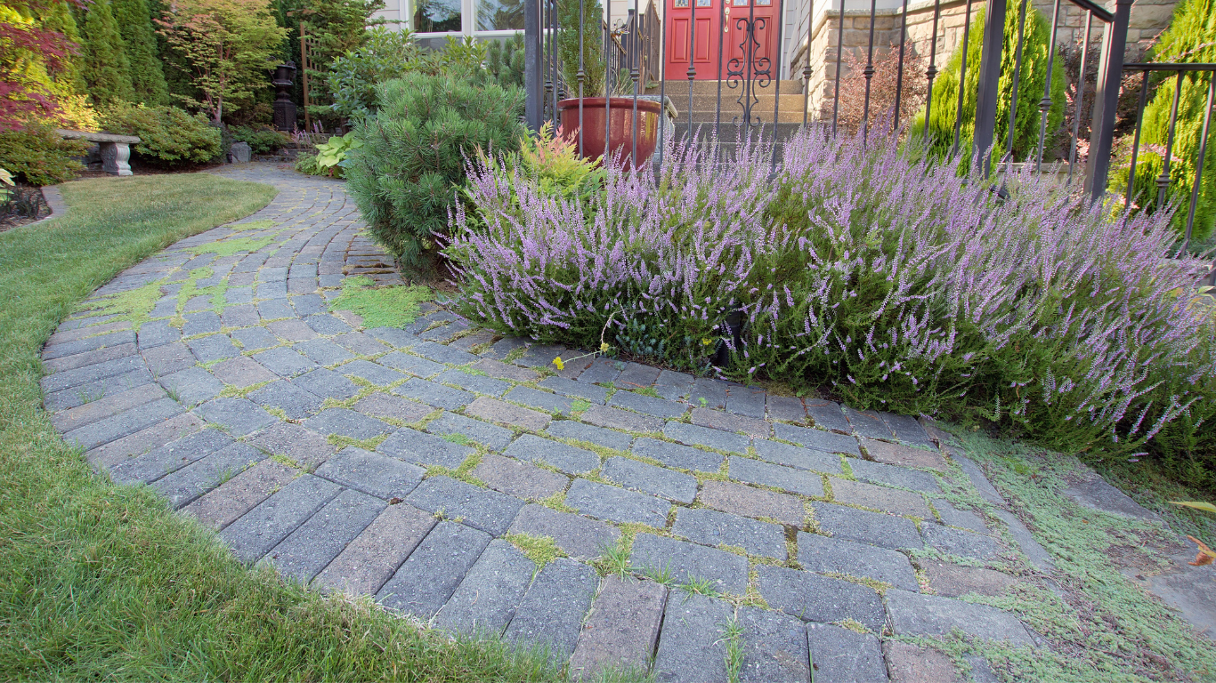 Curving brick path through a garden, edged with grass and bordered by flowering bushes and trees.