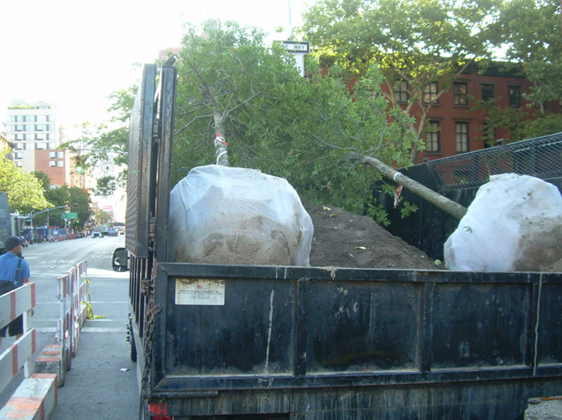 Truck bed carrying large rocks, a tree, and dirt, likely for landscaping. Street and buildings in background.