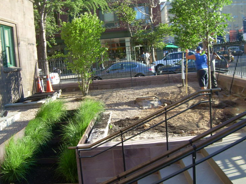 Urban landscaping project: A person planting trees, with steps, grass, and a city street in the background.