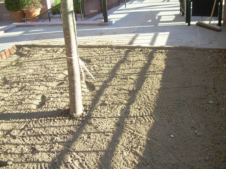 Tree trunk in a prepared sandy patch, with shadows cast across, ready for planting.