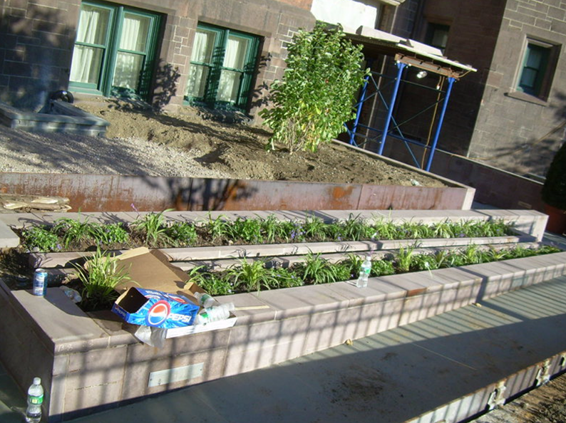 Three-tiered landscaped planters with vegetation, a building backdrop, and trash on the lower level.
