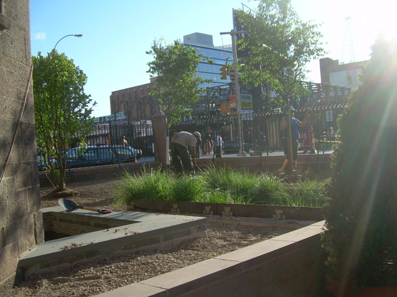 People gardening in a small urban park with grass, trees, and a building in the background. Sunny day.