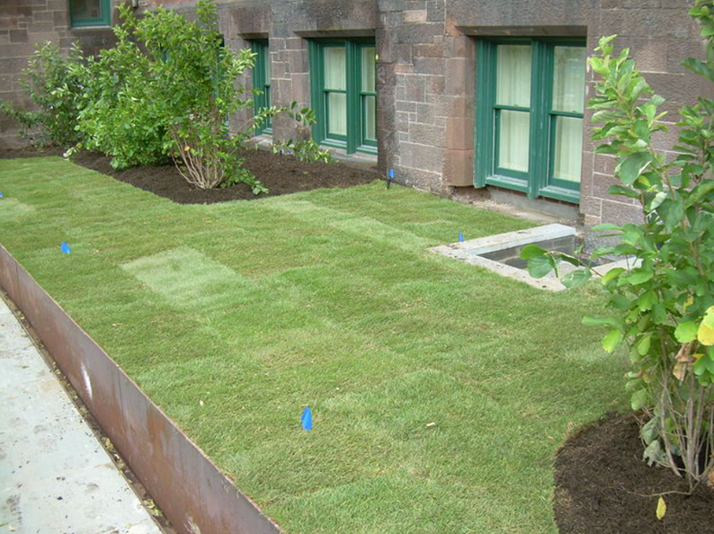 Newly laid sod in a yard, bordering a building with green windows.