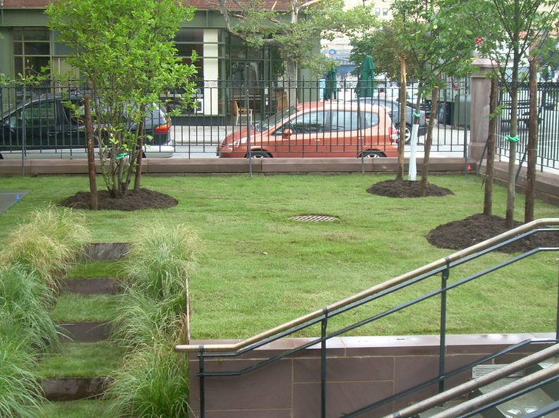 Green lawn with small trees and grass steps next to a building; cars and a fence in the background.