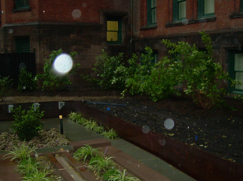 Courtyard with plants and rain, brown building, light from window.