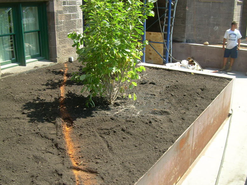 A brown rectangular garden bed with a small tree, filled with dark soil. A person stands nearby.