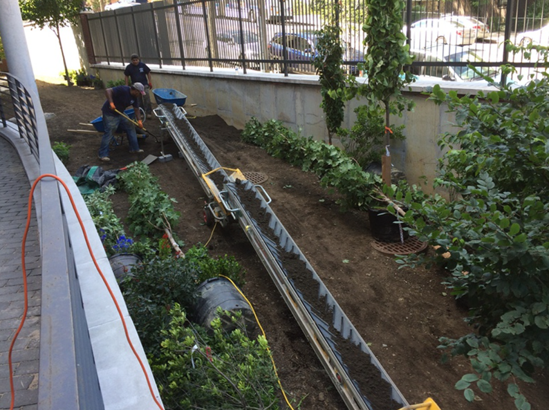 Workers using a conveyor belt to move soil in a landscaped area near a fence.