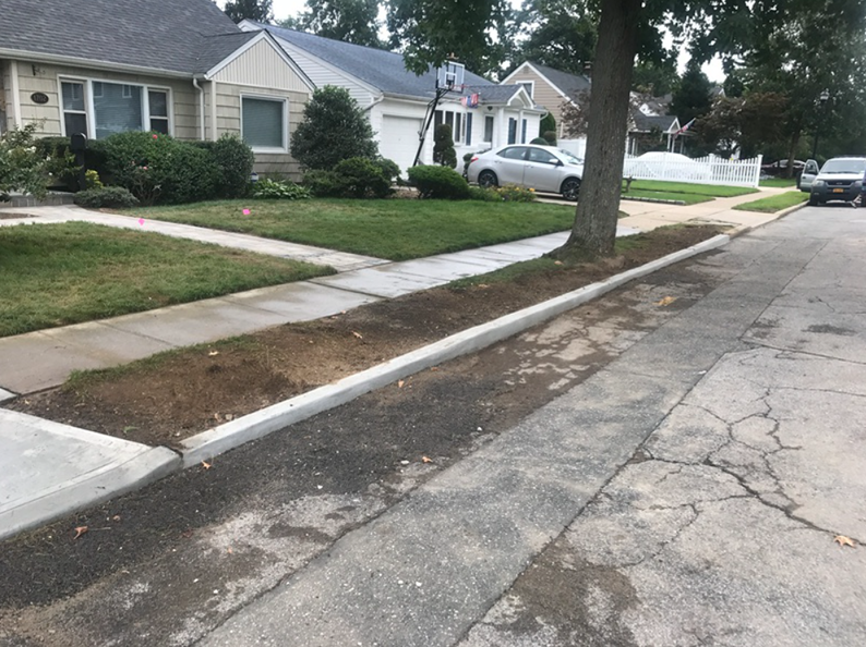 Sidewalk next to street with houses in the background. Newly planted garden strip along the sidewalk's edge.