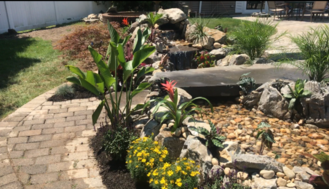 Backyard pond with waterfall, stone path, and colorful plants.