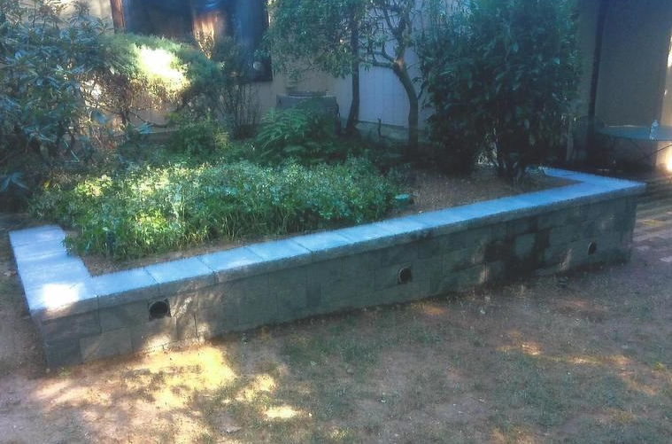 A low, gray concrete retaining wall surrounds a garden bed filled with green plants. Sunlight casts shadows.