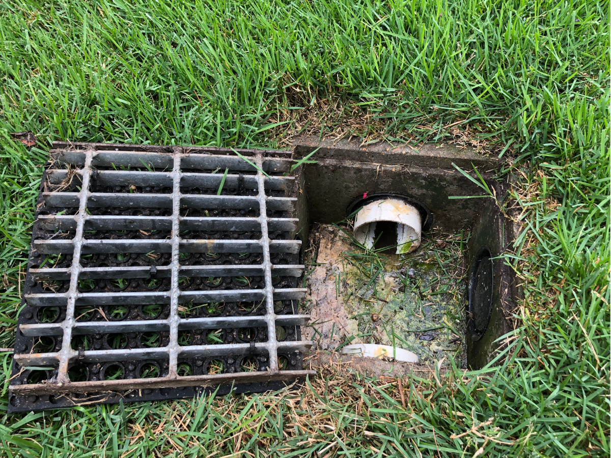 french drain