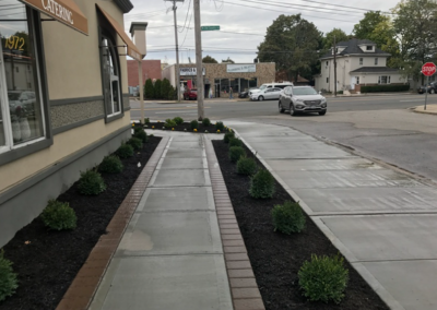 Sidewalk with dark mulch beds flanking concrete path. Green shrubs line the beds. Street with cars.