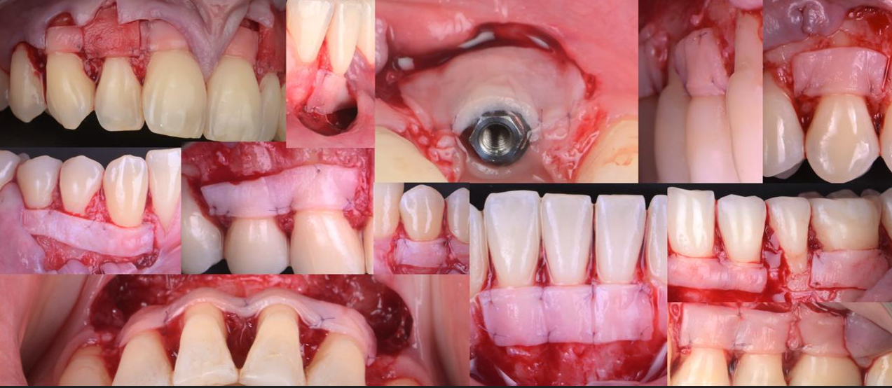 STEFANI ACADEMY - VAI AI CORSI