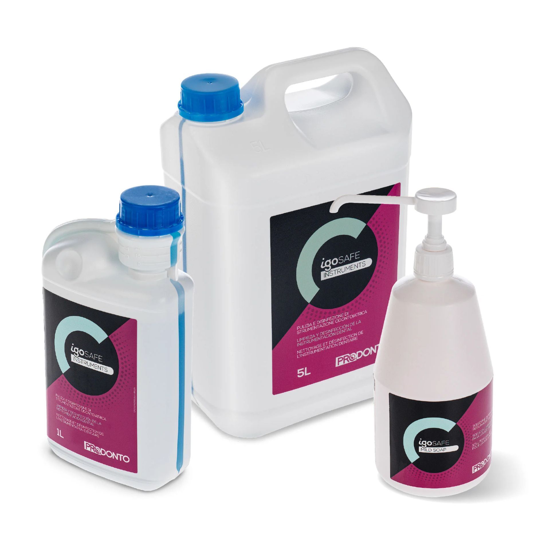 Radiologia Veterinaria Veterinario