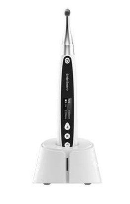 Endodonzia Veterinaria Veterinario