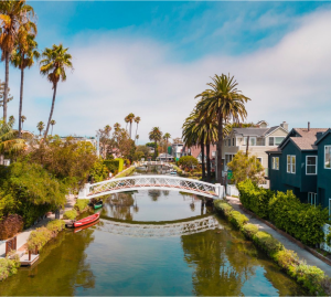 A bridge over a river surrounded by palm trees and houses