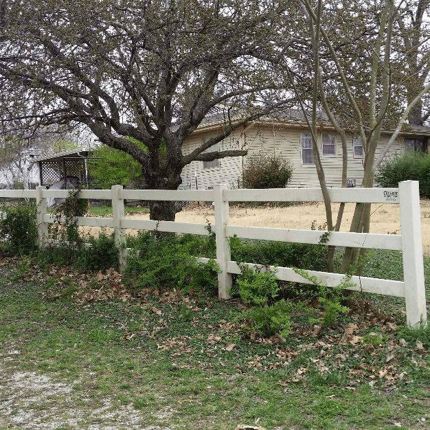 White fence in front of a beige house, large bare tree, and green shrubbery.
