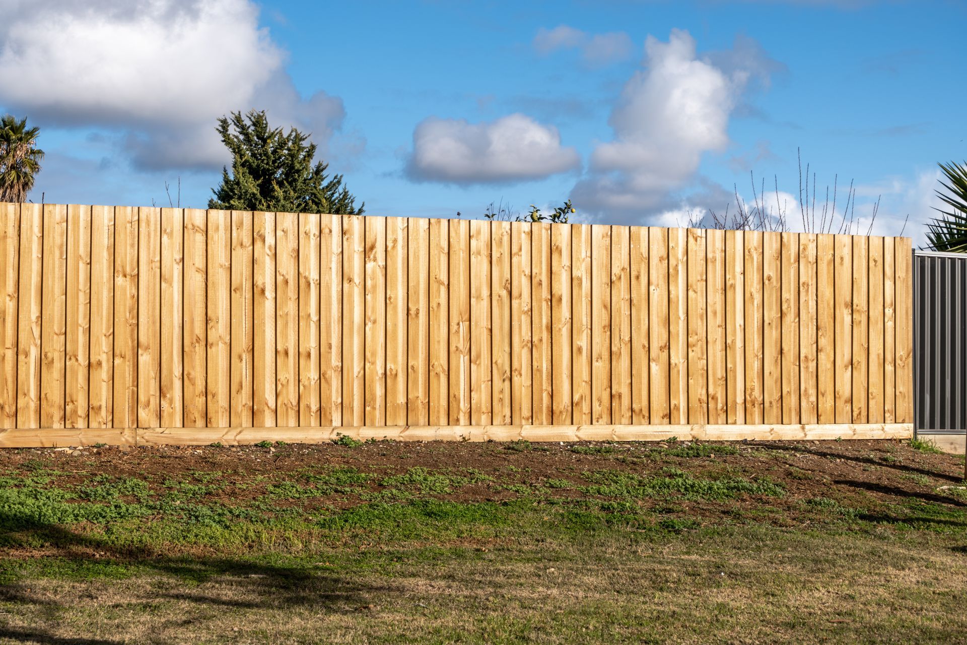 A newly installed vertical wood fence with neatly aligned wooden palings in a suburban backyard.