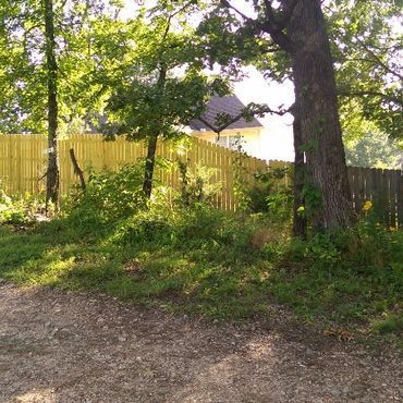 A gravel path leads to a wooden fence and a house, with trees providing shade on a sunny day.