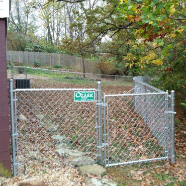 Chain-link fence with gate encloses a small yard, fallen leaves cover the ground.