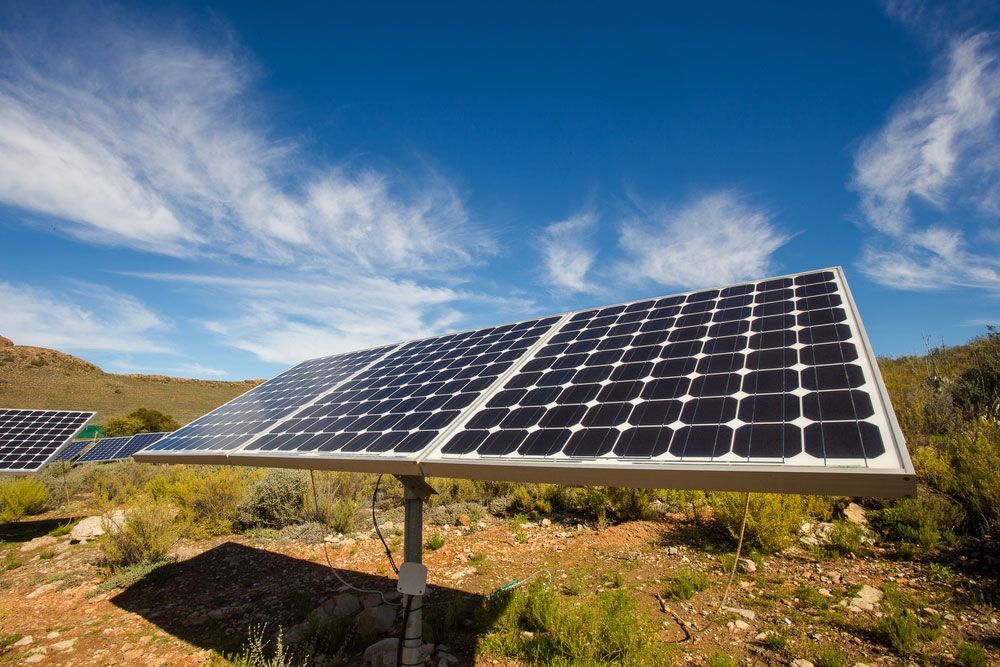 A Group of Solar Panels Are Installed in The Middle of A Field — Solar Blessing in Stanthorpe, QLD