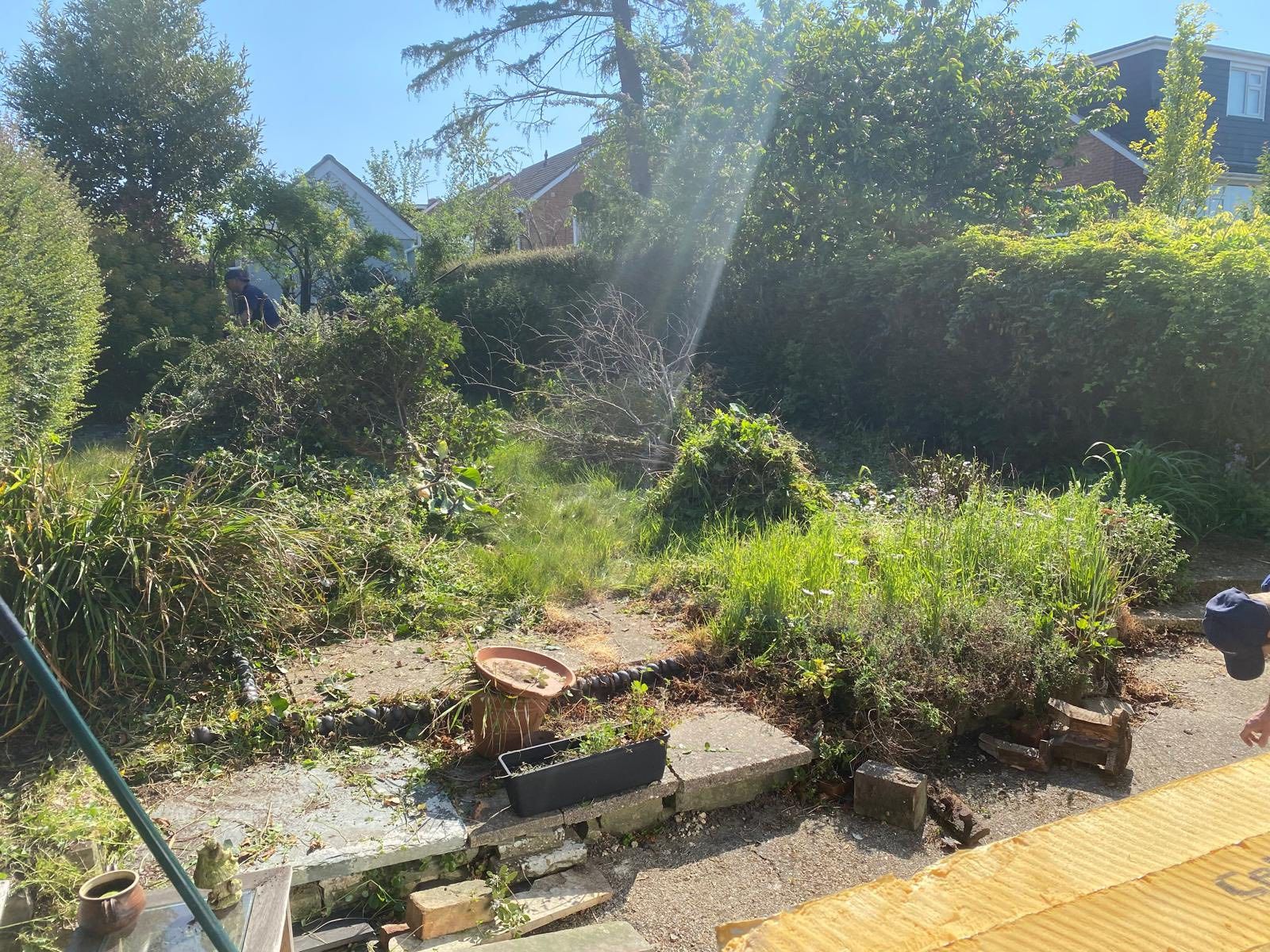Backyard view: overgrown garden with patches of green grass, shrubs, and a brick patio in sunlight.