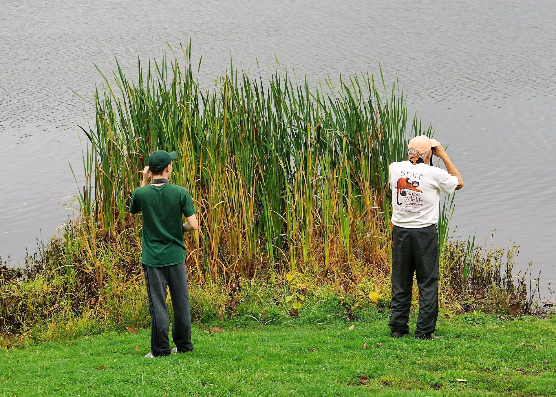 Two men are standing in the grass near a body of water looking through binoculars