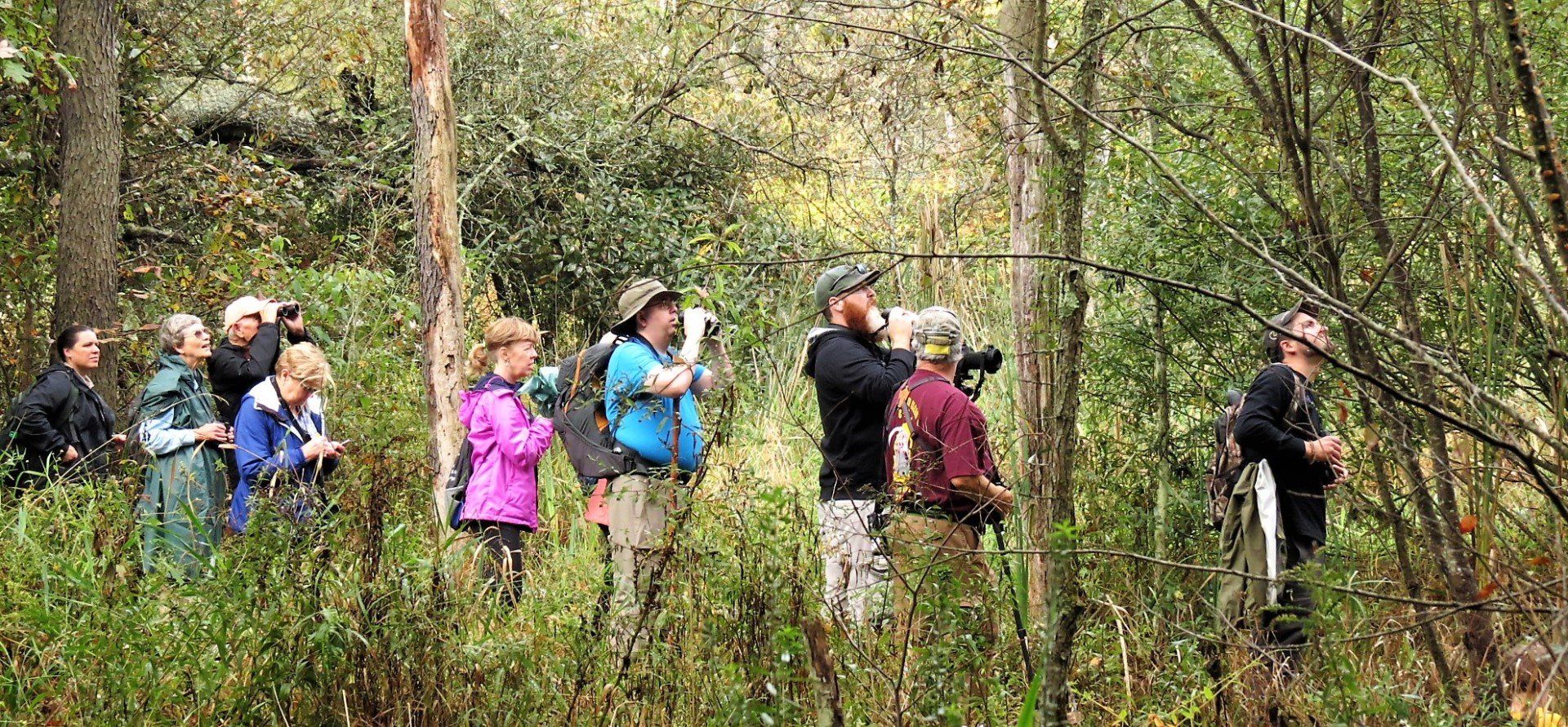 A group of people are standing in the woods looking through binoculars.