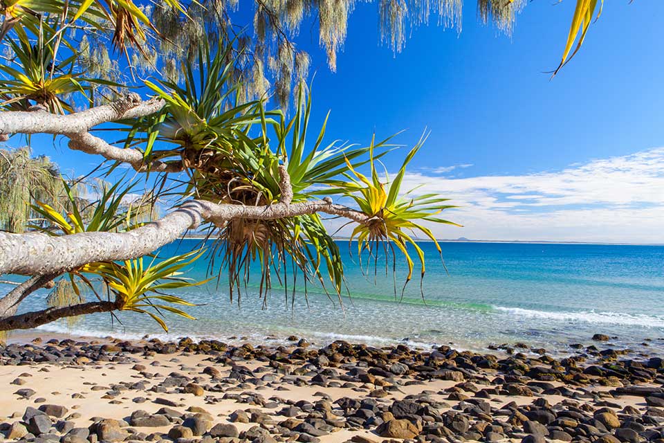 beach view
