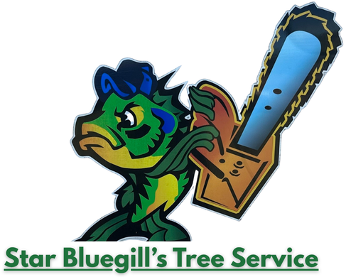 Star Bluegill's Tree Service Tampa Area