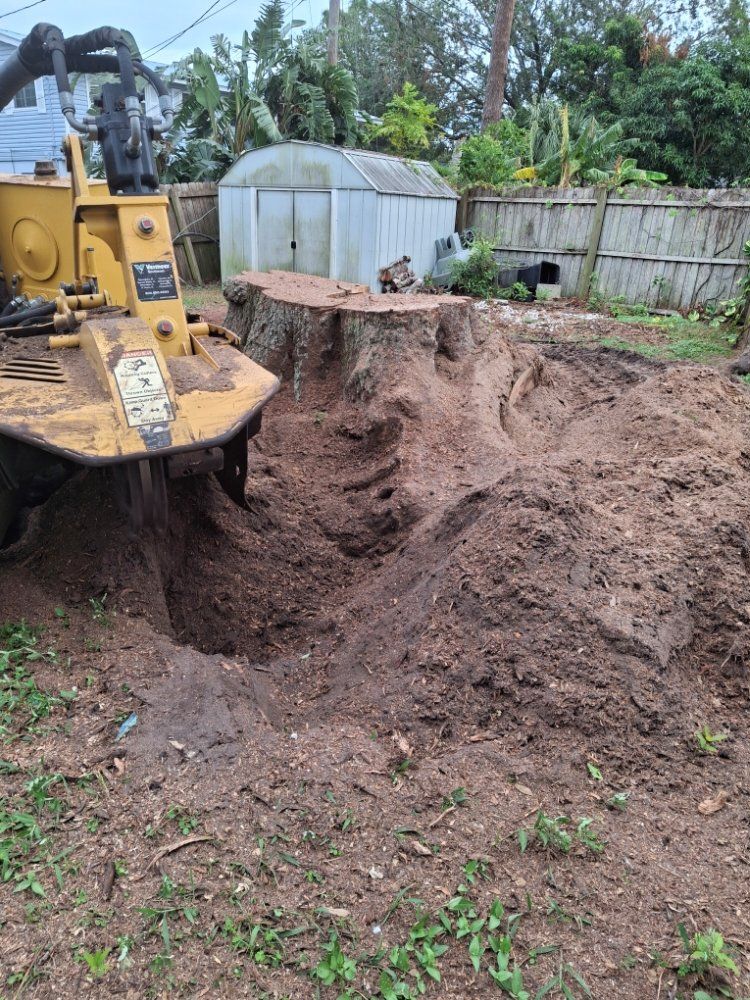 Stump Grinding Tampa, FL