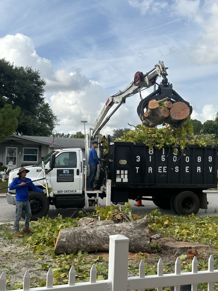 Emergency Tree Service Near Me